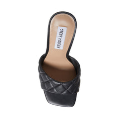 SIGNIFY BLACK MULTI - SM REBOOTED
