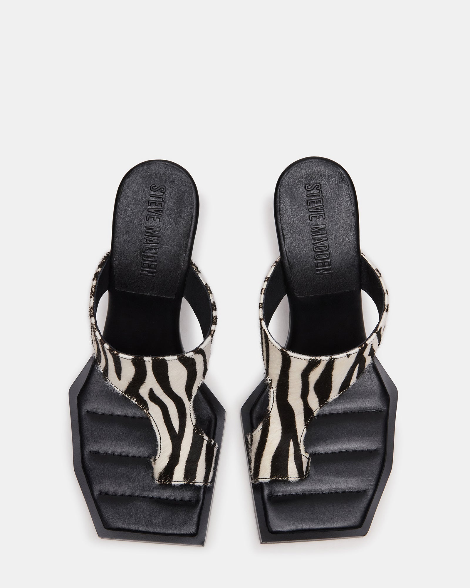 ALAMEDA ZEBRA
