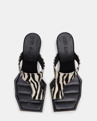 ALAMEDA ZEBRA