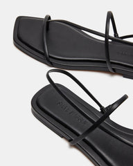 LYNLEY BLACK - SM REBOOTED