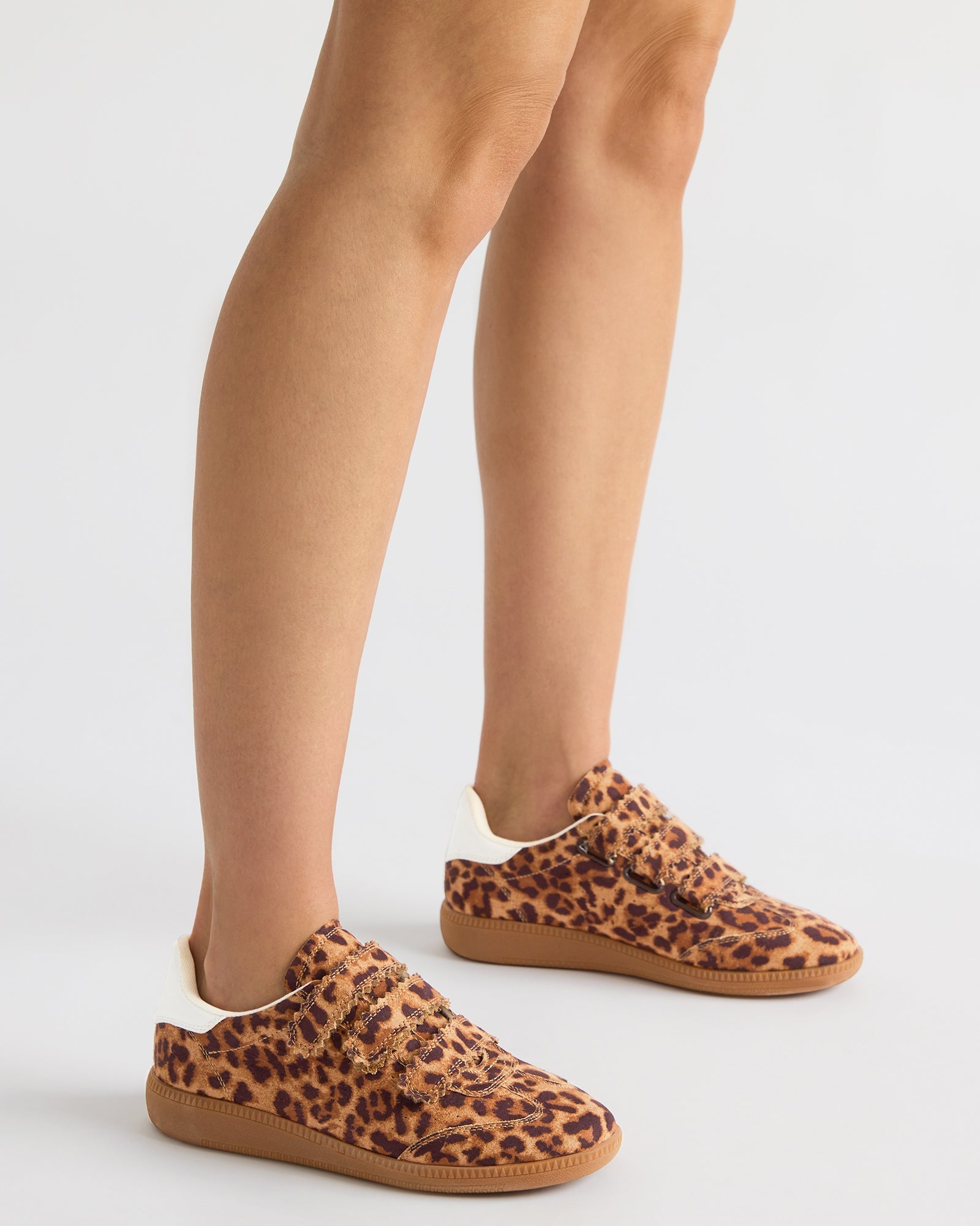 MOMENTUM LEOPARD