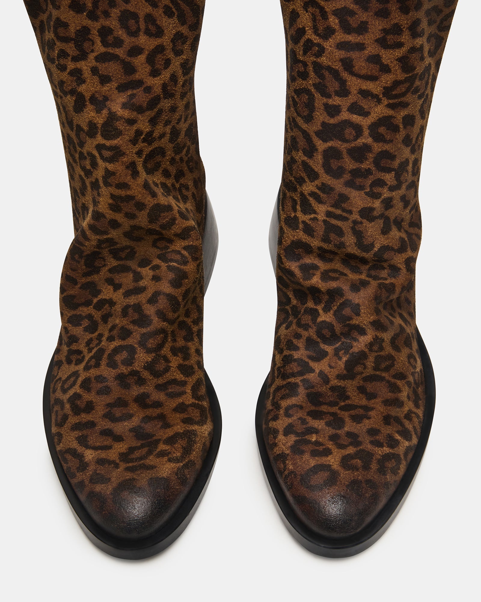 NEXIE LEOPARD - SM REBOOTED