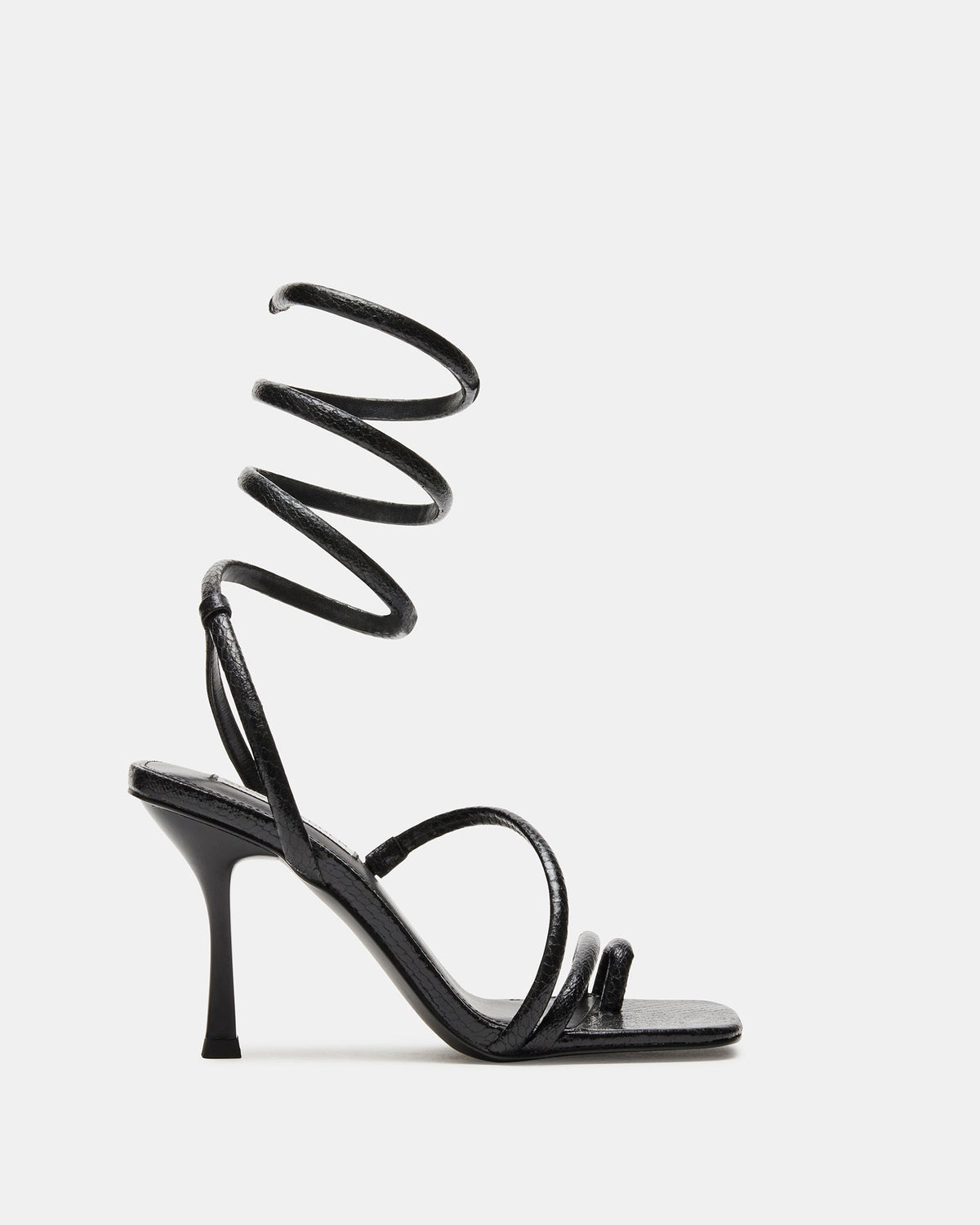 SHANTELLE BLACK - SM REBOOTED