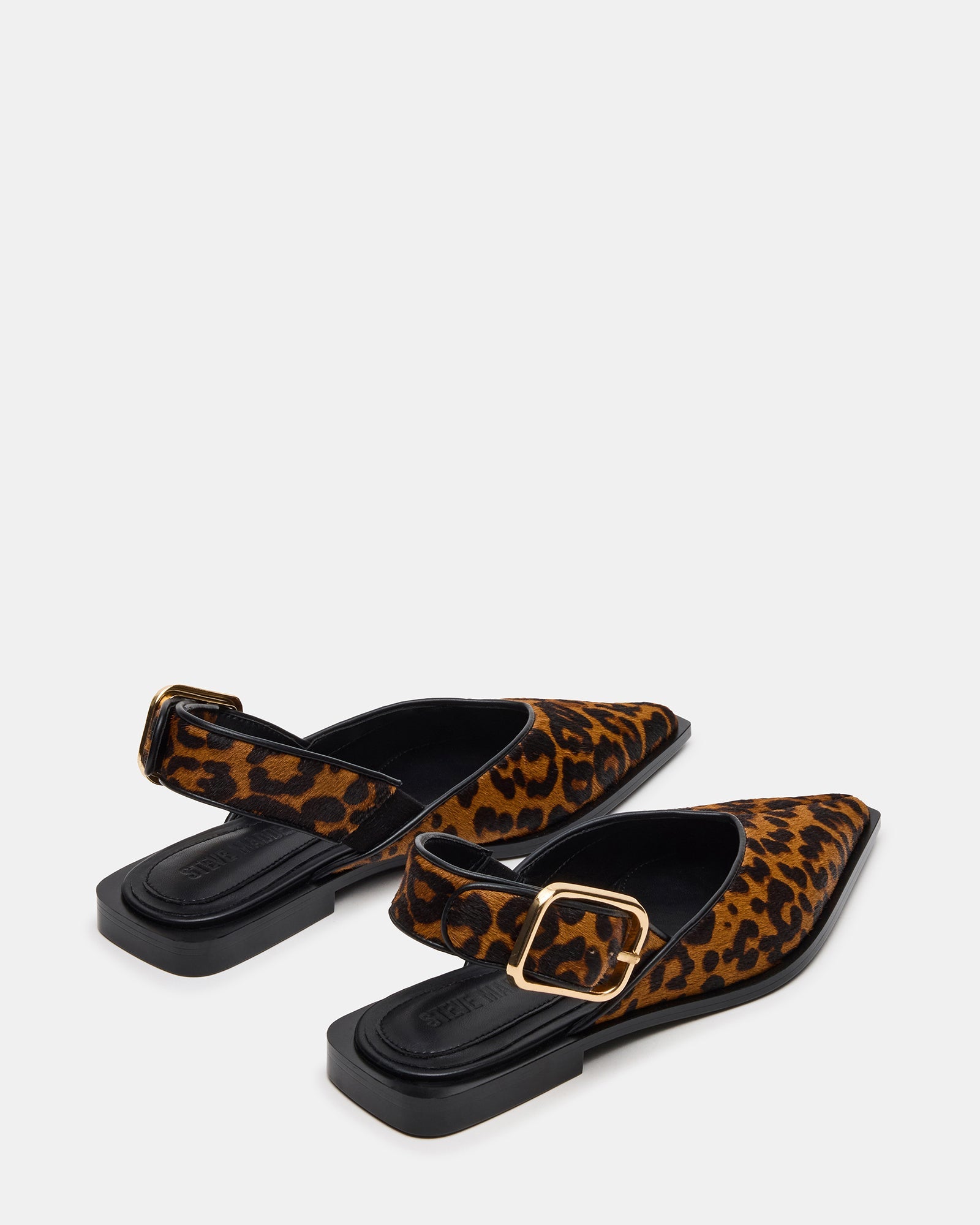 SHAY LEOPARD
