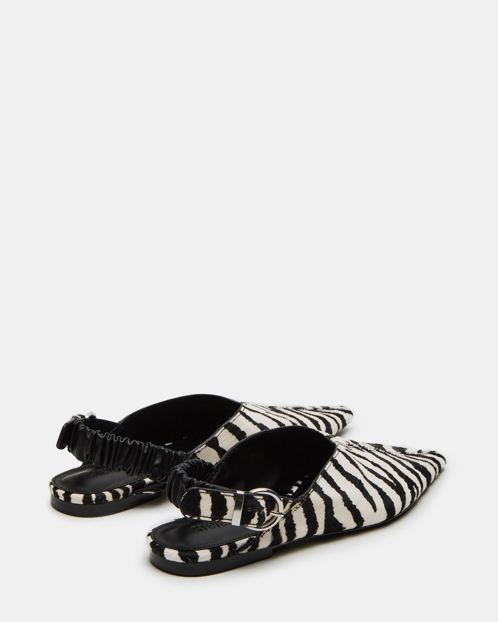 ZELLA ZEBRA - SM REBOOTED